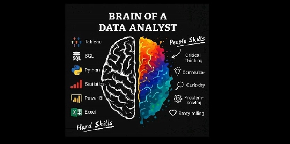 Brain of a Data Analyst